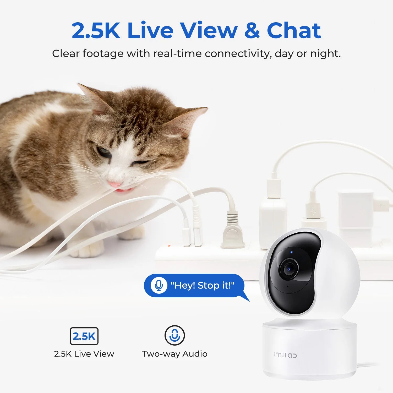 2,5K IP Kamera mit App, 360° Blick & Nachtsicht