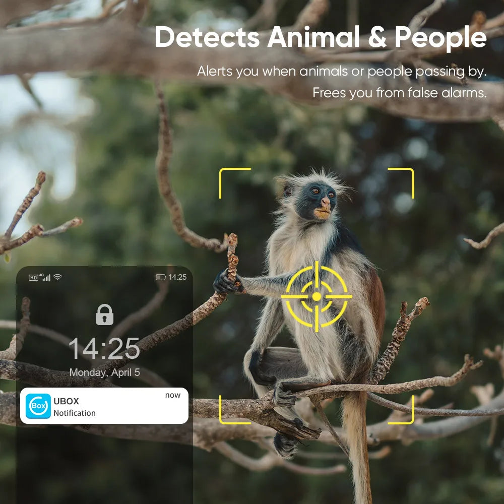 4G WiFi Solar Außenkamera 2K HD Farbnachtsicht